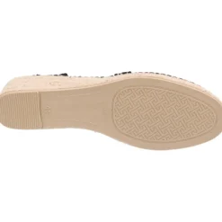 Toni Pons Terra Ge Negre