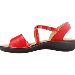 Westland Ibiza 73 Riot